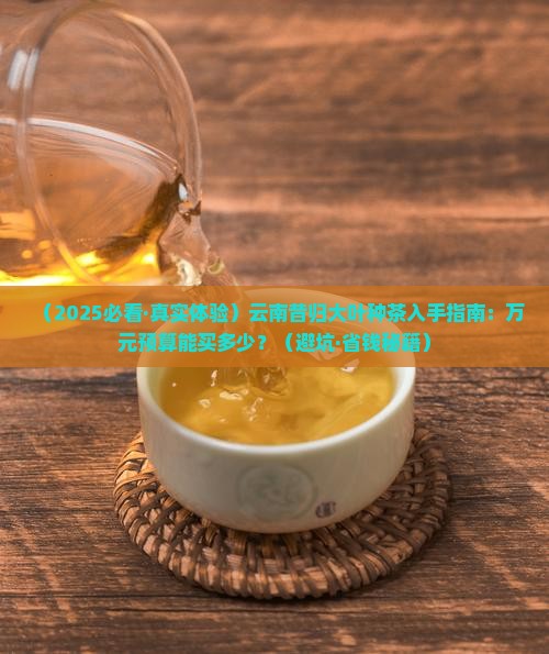 云南昔归大叶种茶