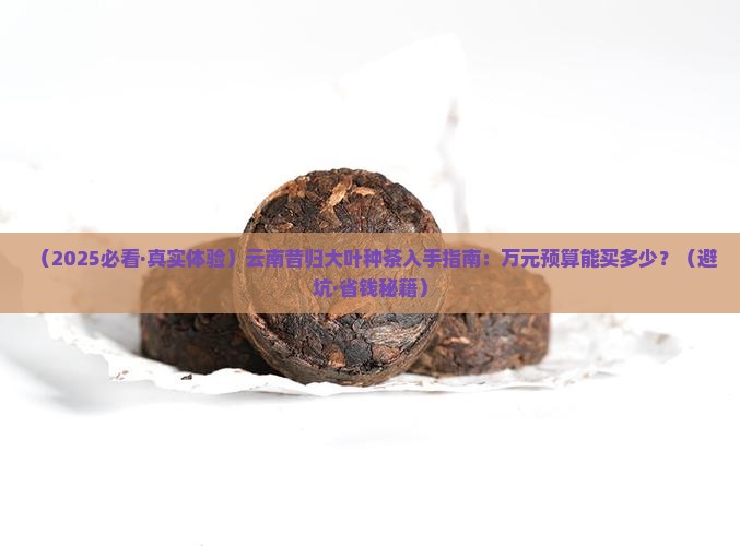 云南昔归大叶种茶