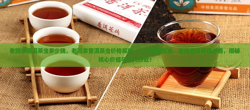 老班章普洱茶虫多少钱