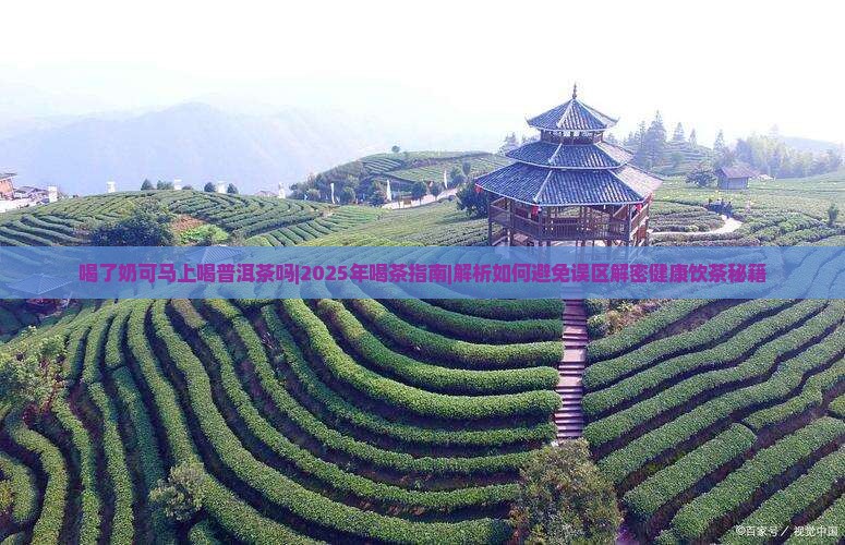 喝了奶可马上喝普洱茶吗