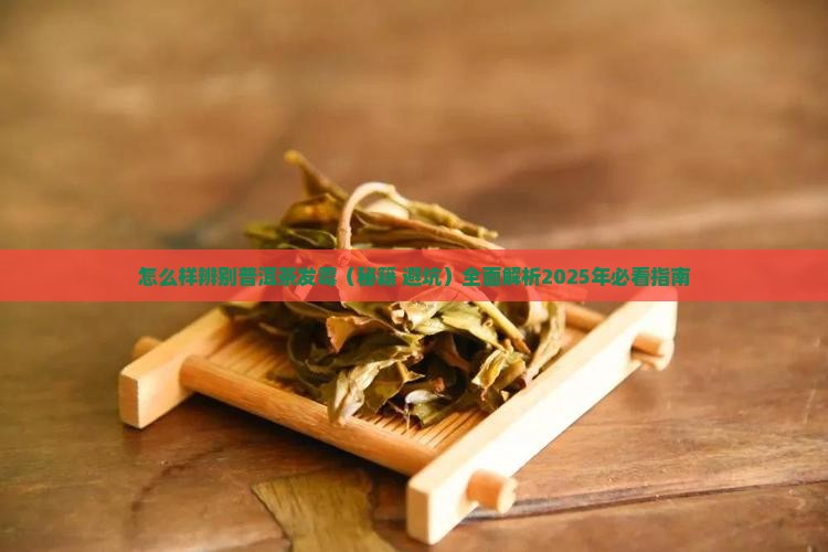 怎么样辨别普洱茶发霉