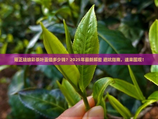 珐琅彩茶叶壶雍正年间多少钱