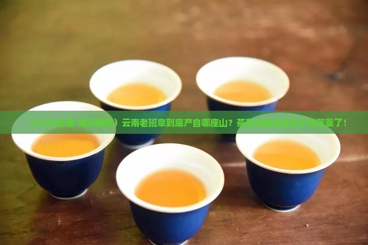 云南老班章的产地哪个山的