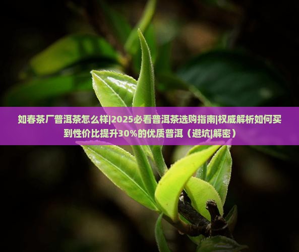 如春茶厂普洱茶怎么样