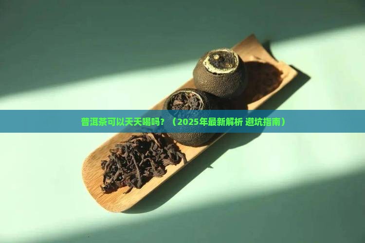 普洱茶可以天天喝