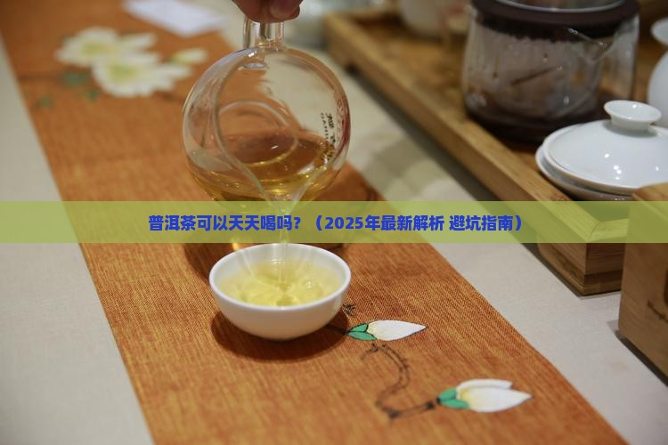 普洱茶可以天天喝