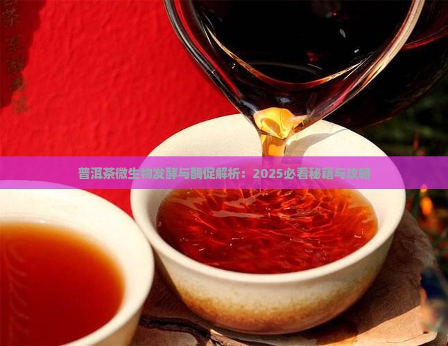 普洱茶的微生物发酵和酶促