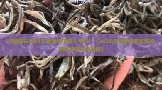 云南蝶采青05年普洱茶