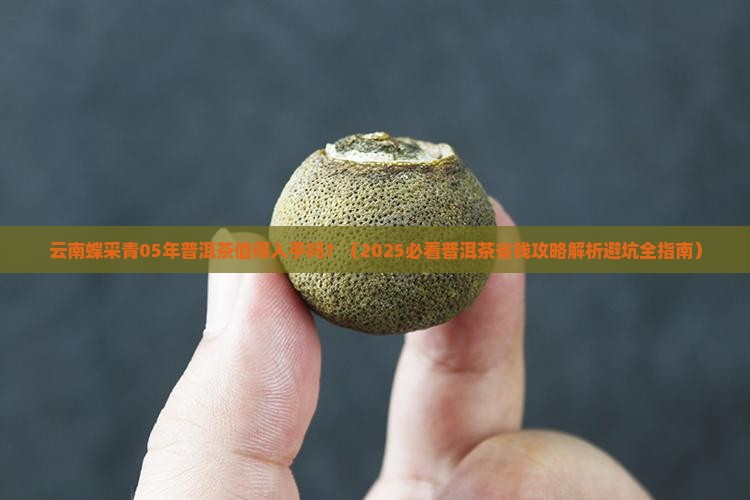 云南蝶采青05年普洱茶