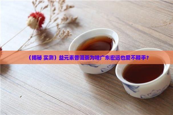 益元素普洱茶广东宏远