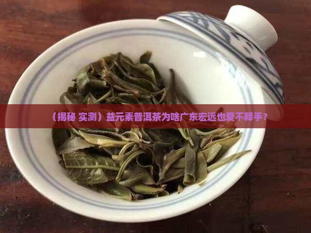 益元素普洱茶广东宏远