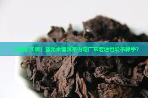 益元素普洱茶广东宏远