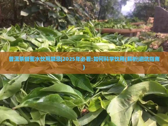 普洱茶蜂蜜水饮用禁忌
