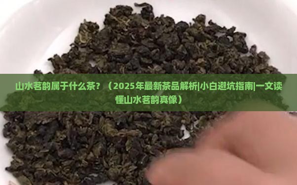 山水茗韵属于什么茶