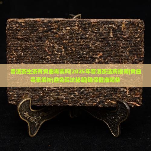 普洱茶生茶有黄曲毒素吗