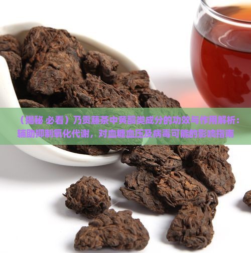 乃贡藤茶的功效和作用