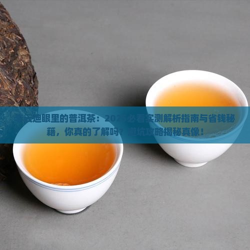 李云迪眼里的普洱茶