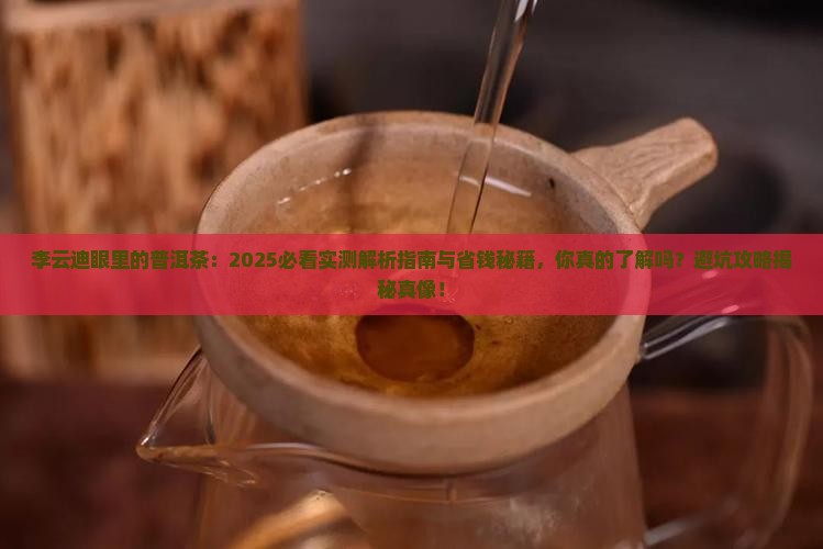 李云迪眼里的普洱茶