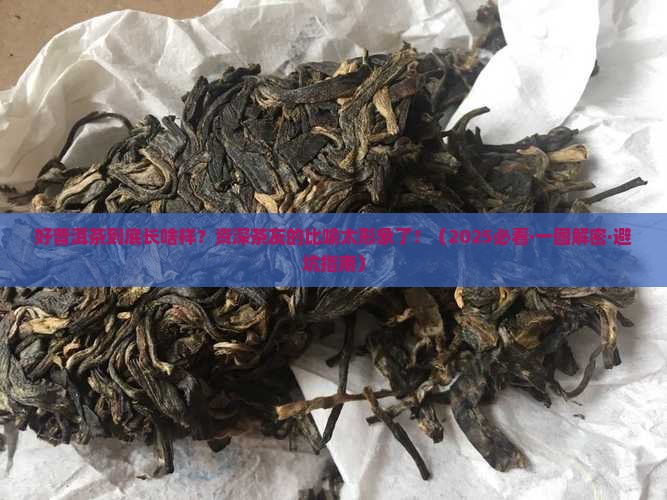 好普洱茶的比喻