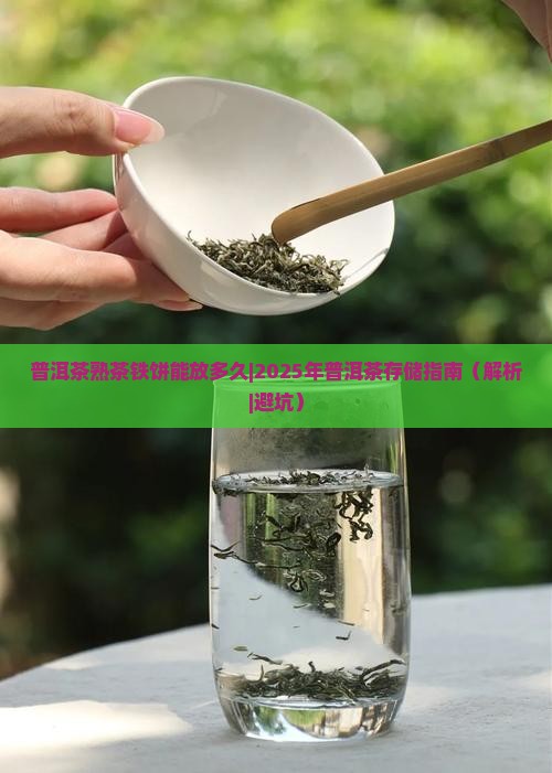 普洱茶熟茶铁饼能放多久