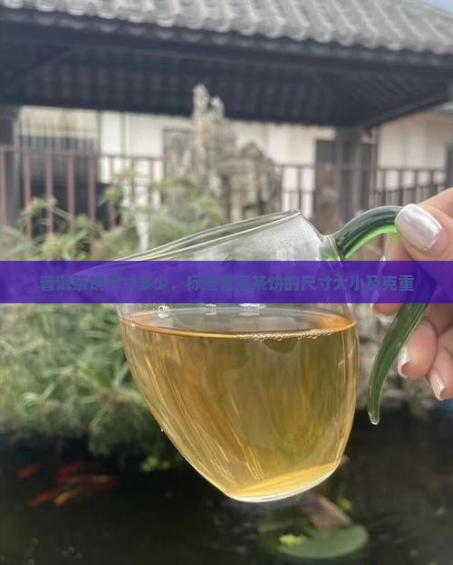 普洱茶饼尺寸多少