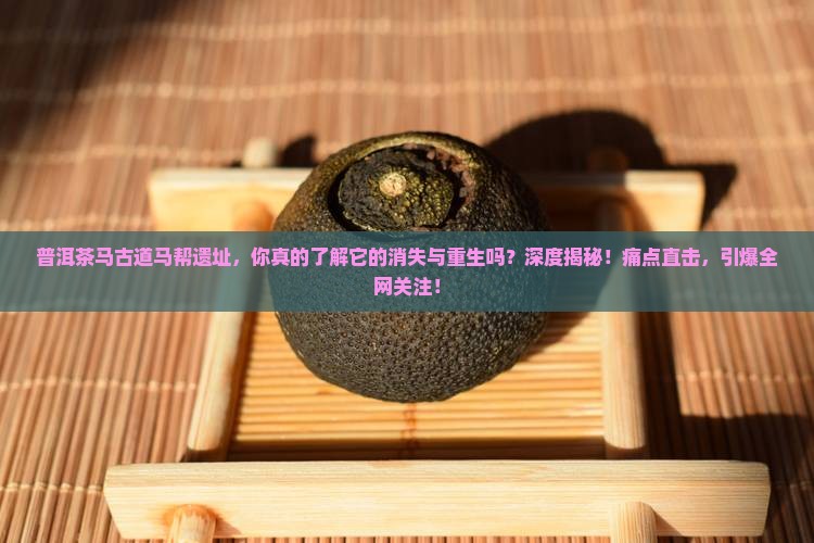 普洱茶马古道马帮遗址