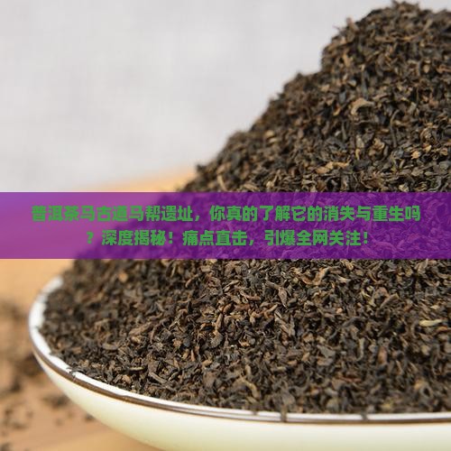 普洱茶马古道马帮遗址