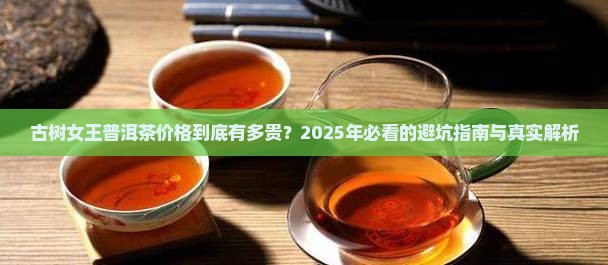 古树女王普洱茶价格