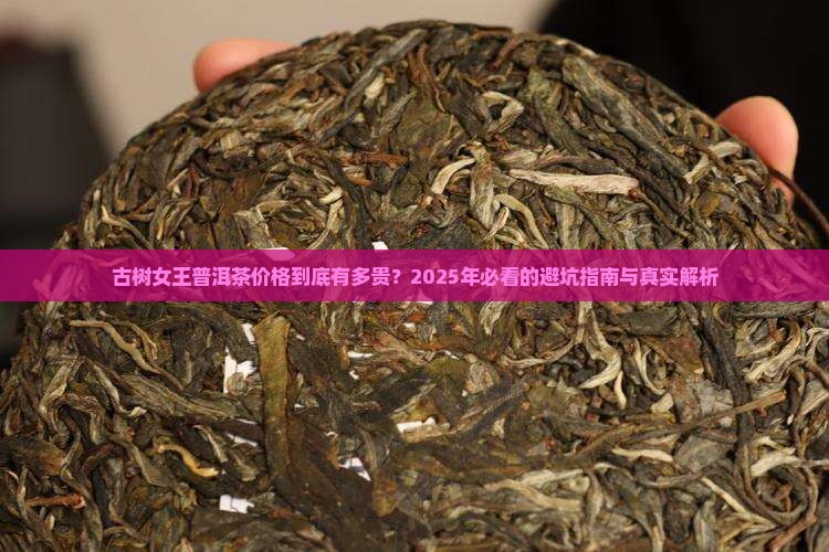 古树女王普洱茶价格