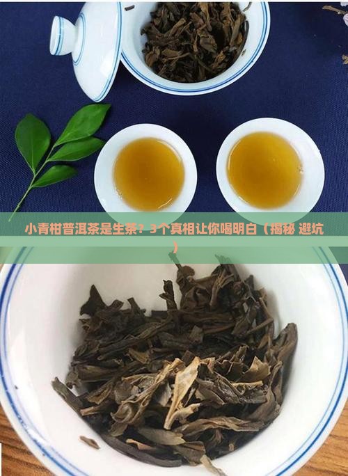 小青柑普洱茶是生茶