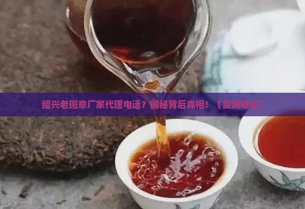 绍兴老班章厂家代理电话