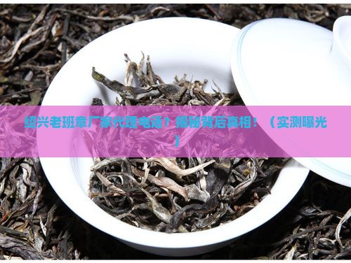 绍兴老班章厂家代理电话
