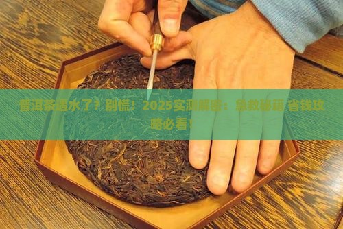 普洱茶蘸水了怎么办