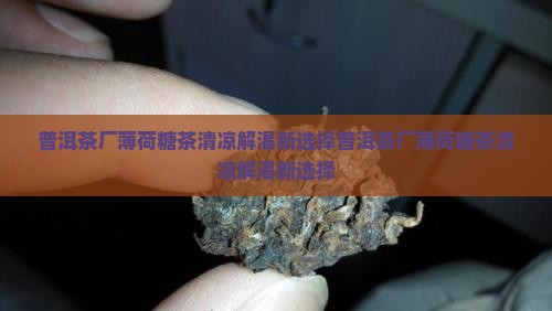 普洱茶厂薄荷糖茶