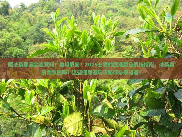 喝浓茶尿液会变黄吗