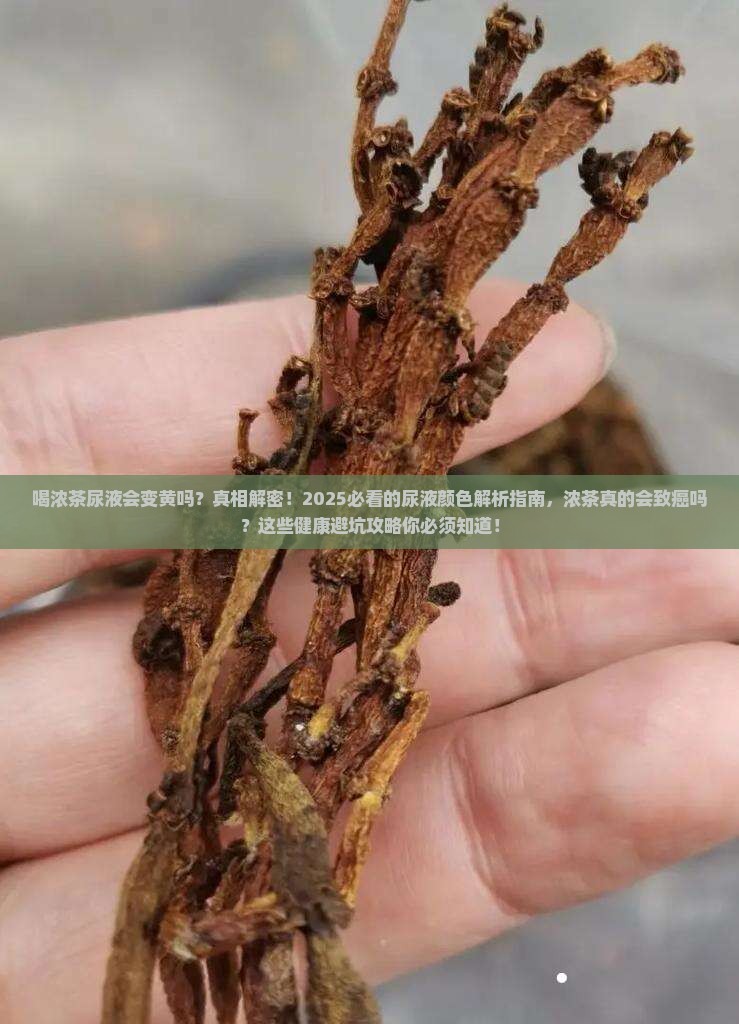 喝浓茶尿液会变黄吗