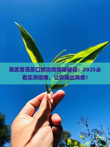 易武普洱茶口感功效