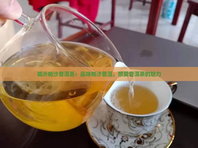 临沂帕沙普洱茶