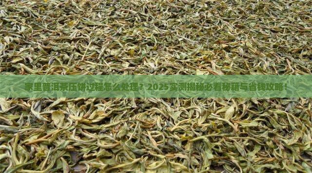 家里普洱茶压饼过程怎么处理
