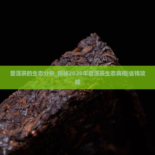 普洱茶的生态分析