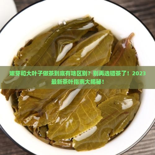 嫩芽和大叶子做茶有什么区别