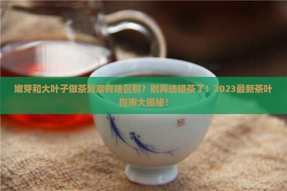 嫩芽和大叶子做茶有什么区别
