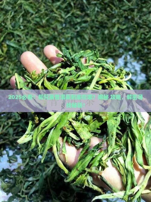 帮兄寨普洱茶在哪里