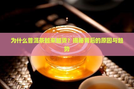 为什么普洱茶越来越贵