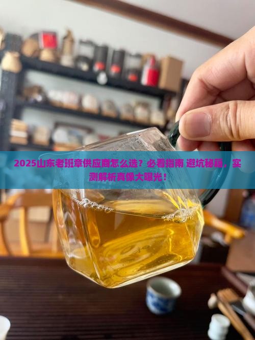 山东老班章供应商