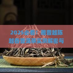 雅普越陈越香普洱茶
