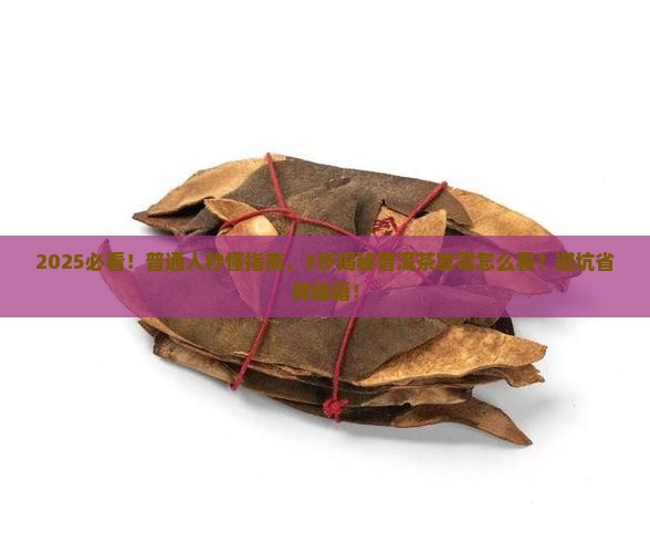 如何看普洱茶发霉