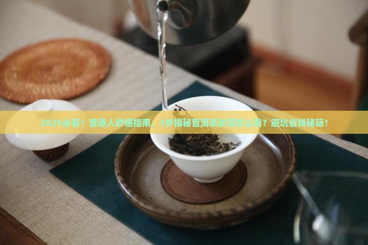 如何看普洱茶发霉