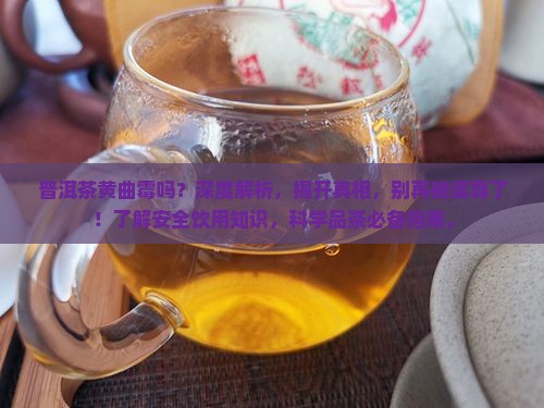 普洱茶黄曲霉吗