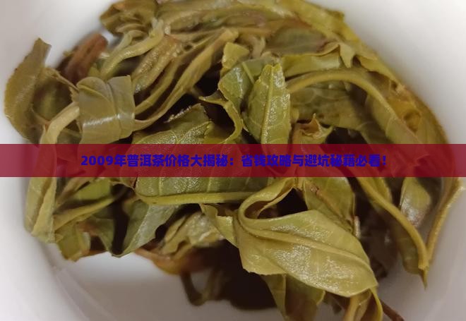 普洱茶2009年价格表